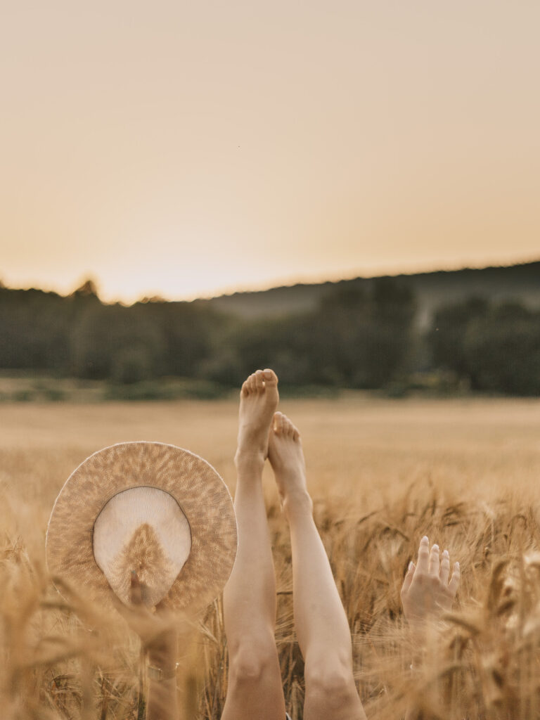 Séance photo stylisée champ de blé dans le Haut-Var et alpes de Haute Provence
